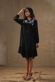 Women Rayon Embroidered Flared Mini Dress - Nyaro