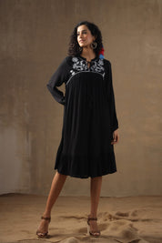 Women Rayon Embroidered Flared Mini Dress - Nyaro