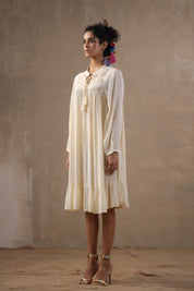 Women Rayon Embroidered Flared Mini Dress - Nyaro